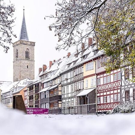 -Apartment Am Luisenpark-Perfekte Lage Im Gruenen Fuer Ihren Aufenthalt Erfurt Zewnętrze zdjęcie