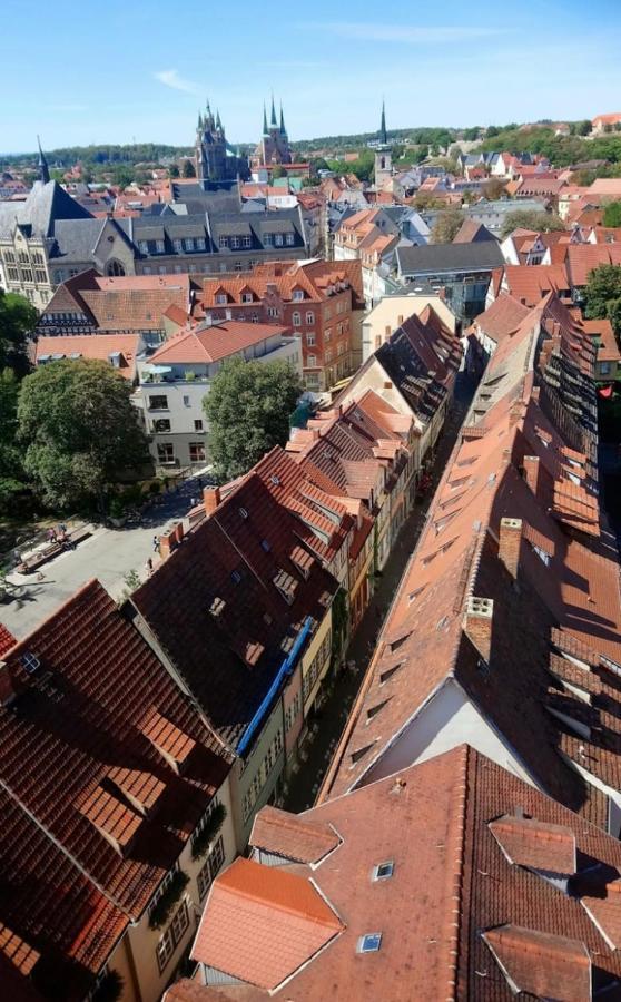 -Apartment Am Luisenpark-Perfekte Lage Im Gruenen Fuer Ihren Aufenthalt Erfurt Zewnętrze zdjęcie